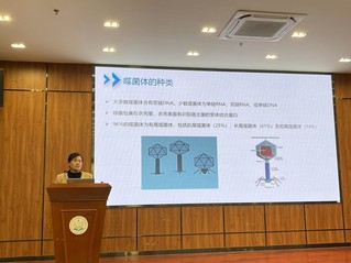 青岛农业大学任慧英教授到我院做学术报告